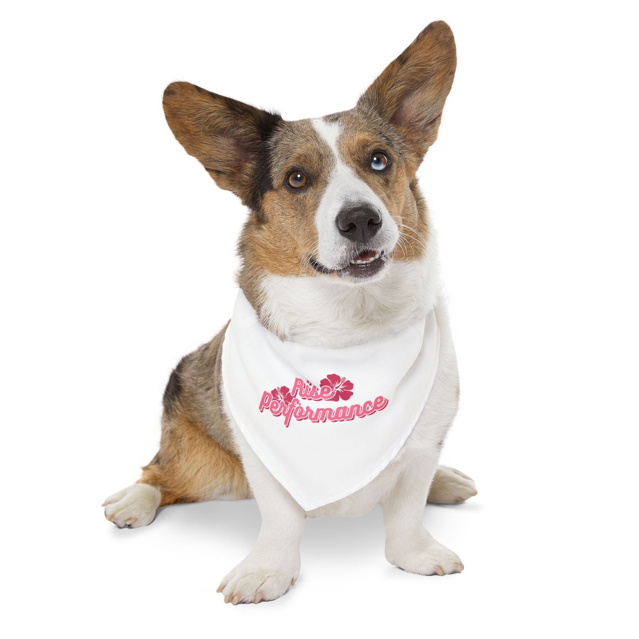 Hibiscus Logo Pet Bandana Collar