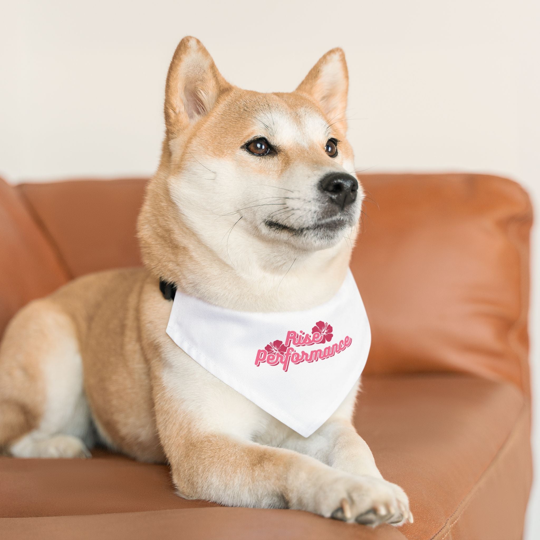 Hibiscus Logo Pet Bandana Collar