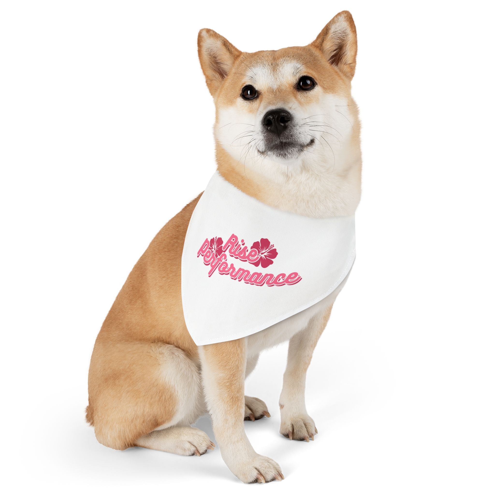 Hibiscus Logo Pet Bandana Collar