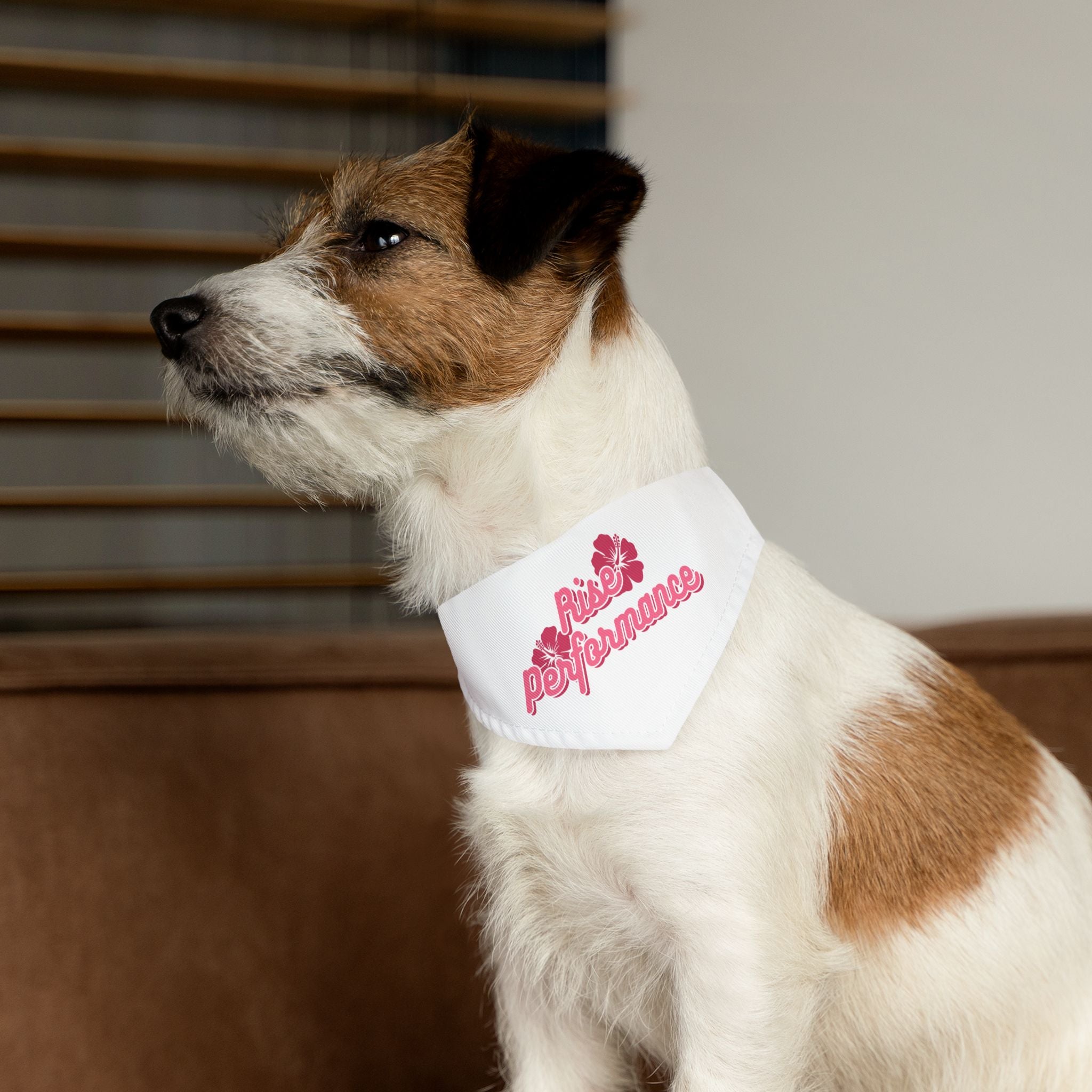 Hibiscus Logo Pet Bandana Collar